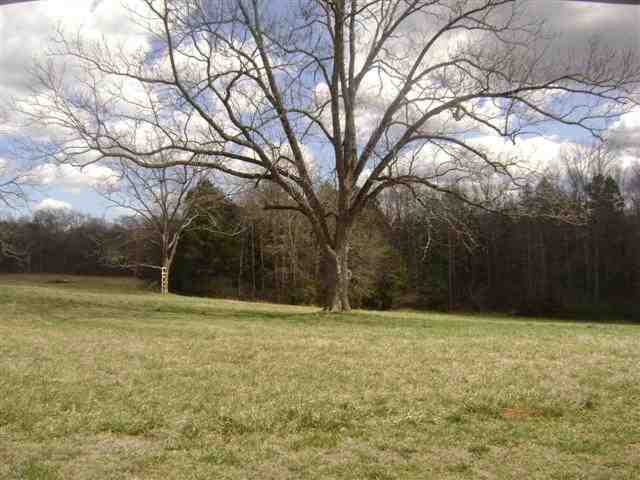 594 Dodson Road, Unit USDA 100 FINANCING AVAIL Donalds, SC 29638 - Photo 4 of 23
