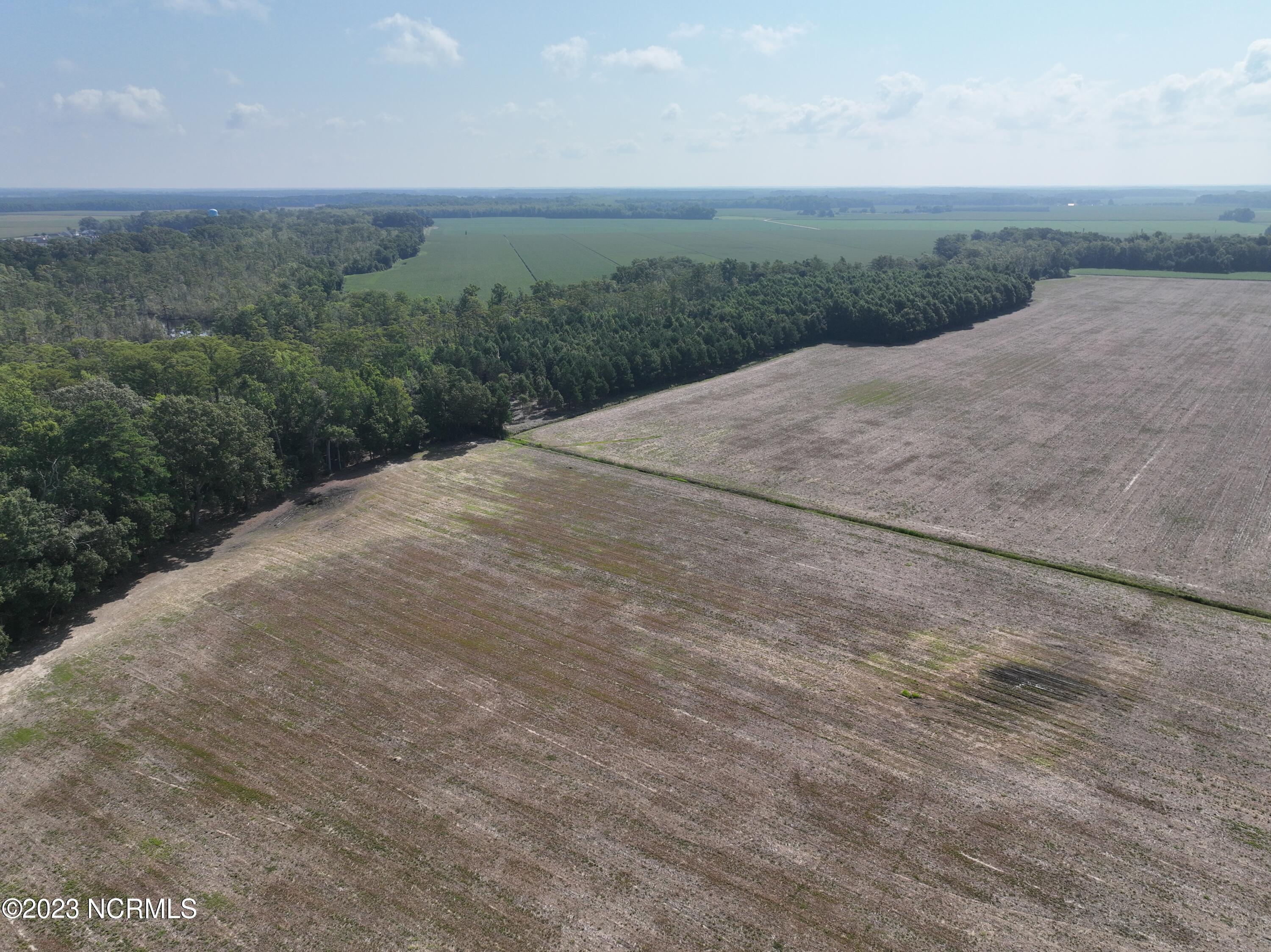0 Dailey Road Camden, NC 27921 - Photo 13 of 32 DJI_0575