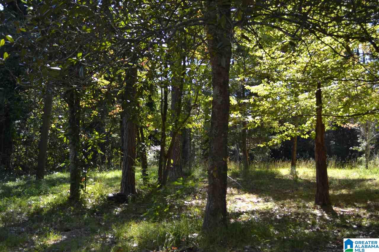 17871 Highway 75, Unit 5 7 ACRES Remlap, AL 35133 - Photo 10 of 23