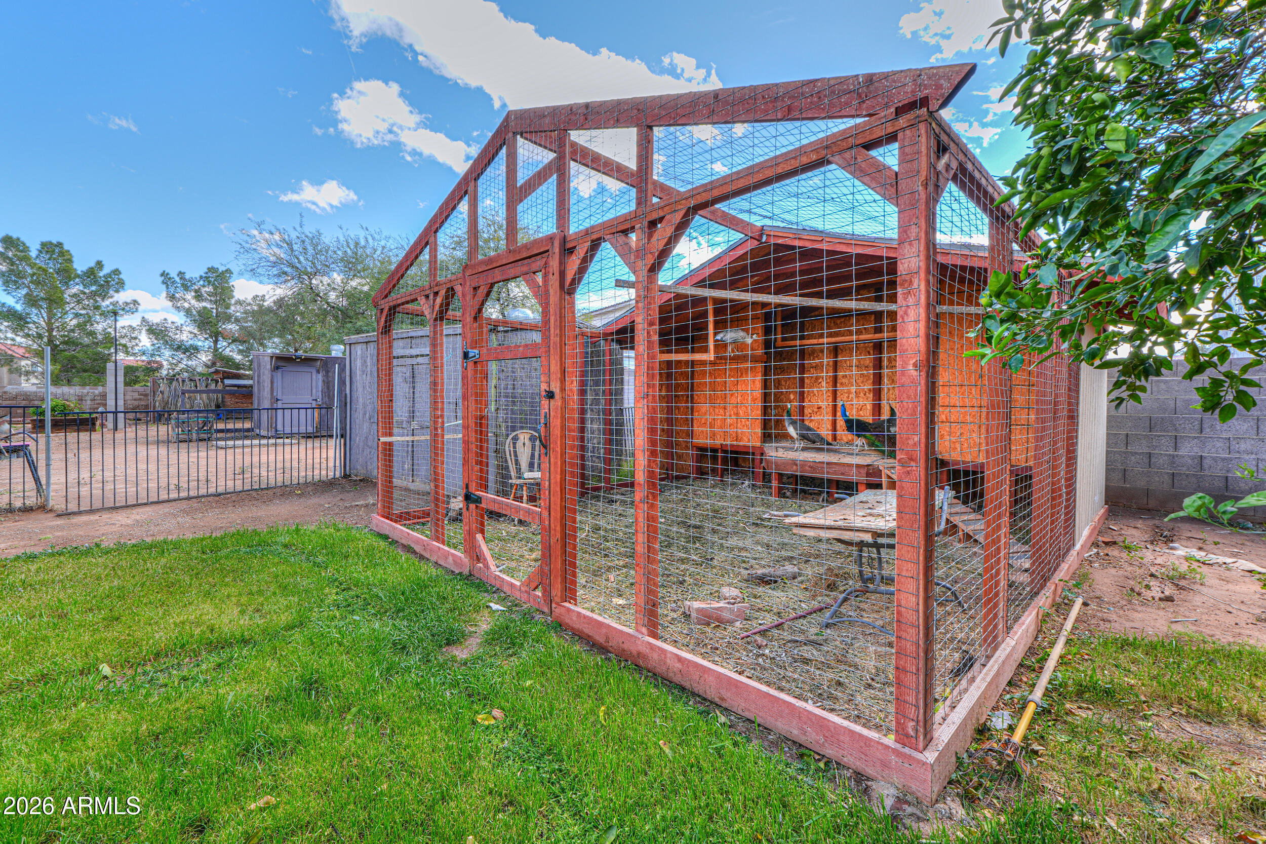 340 North Pottebaum Road Casa Grande, AZ 85122 - Photo 7 of 53 Peacock Aviary