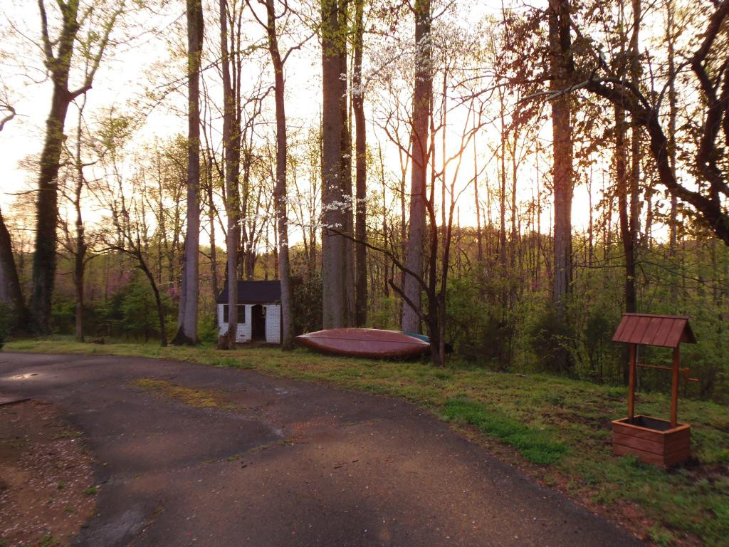 186 Cbm Camp Road Watauga, TN 37694 - Photo 9 of 23 Photo 9