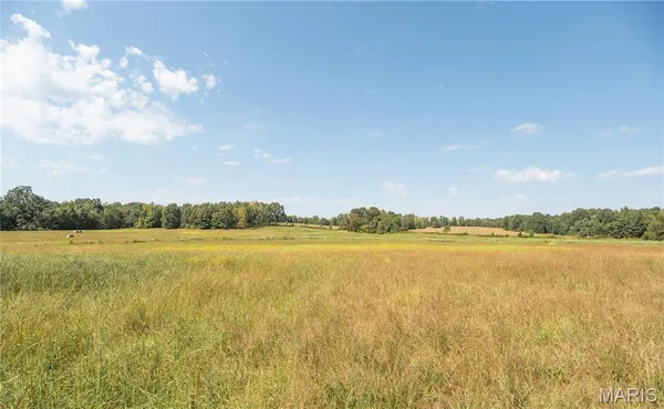 $1,500,000 | 10665 Highway 160, Harviell, MO 63945