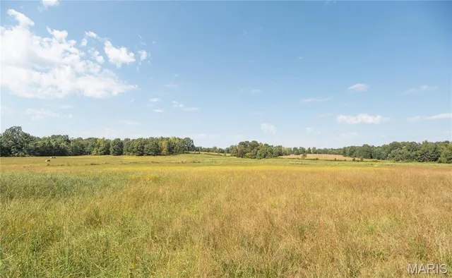 $1,500,000 | 10665 Highway 160, Harviell, MO 63945