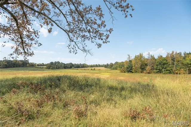 $1,500,000 | 10665 Highway 160, Harviell, MO 63945