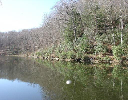60 West Morris Road Washington, CT 06794 - Photo 1 of 1 a view of a lake from a yard