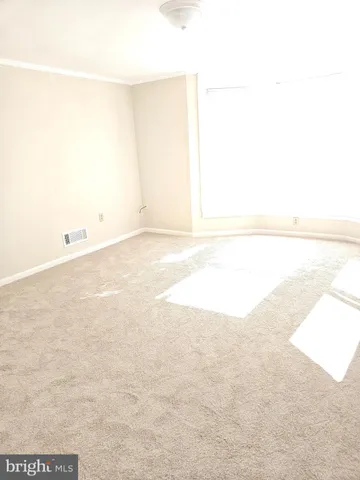 a bathroom with a shower and a toilet