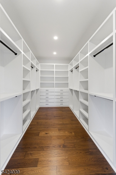 45 Kildee Road Belle Mead, NJ 08502 - Photo 27 of 43 a view of walk in closet with empty racks