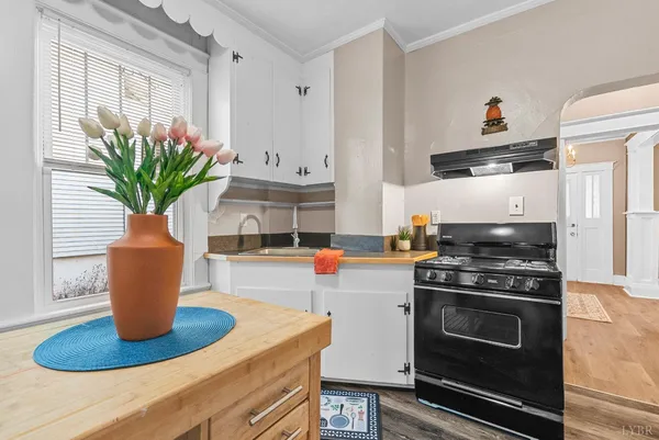 a kitchen with a stove a sink and a potted plant