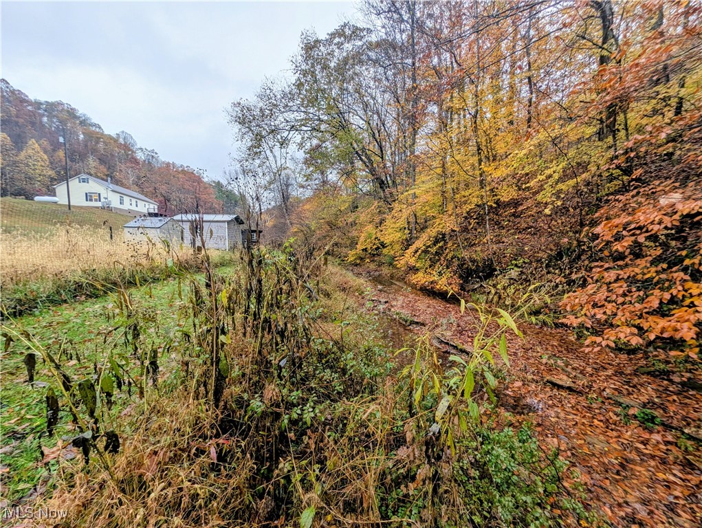 98 Trace Road Newton, WV 25266 - Photo 36 of 47