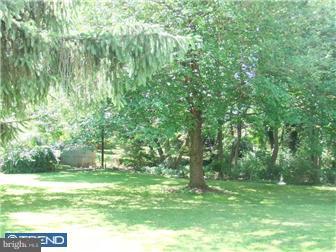 361 Garden Road Springfield, PA 19064 - Photo 12 of 12 a view of a trees with a yard