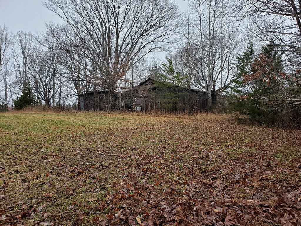 Clarke Road Keysville, VA 23947 - Photo 9 of 11 Gallery Image 9