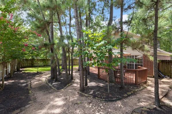 a view of a park that has a large tree and a wooden fence