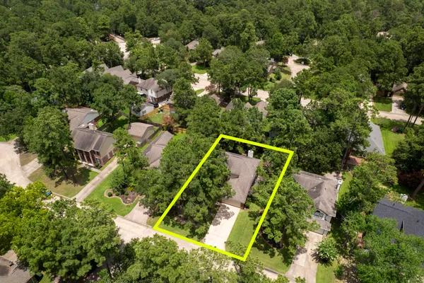 a close up of a tree in a yard