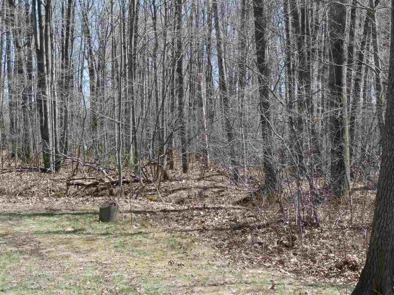 11396 Seymour Road Burt, MI 48417 - Photo 37 of 40