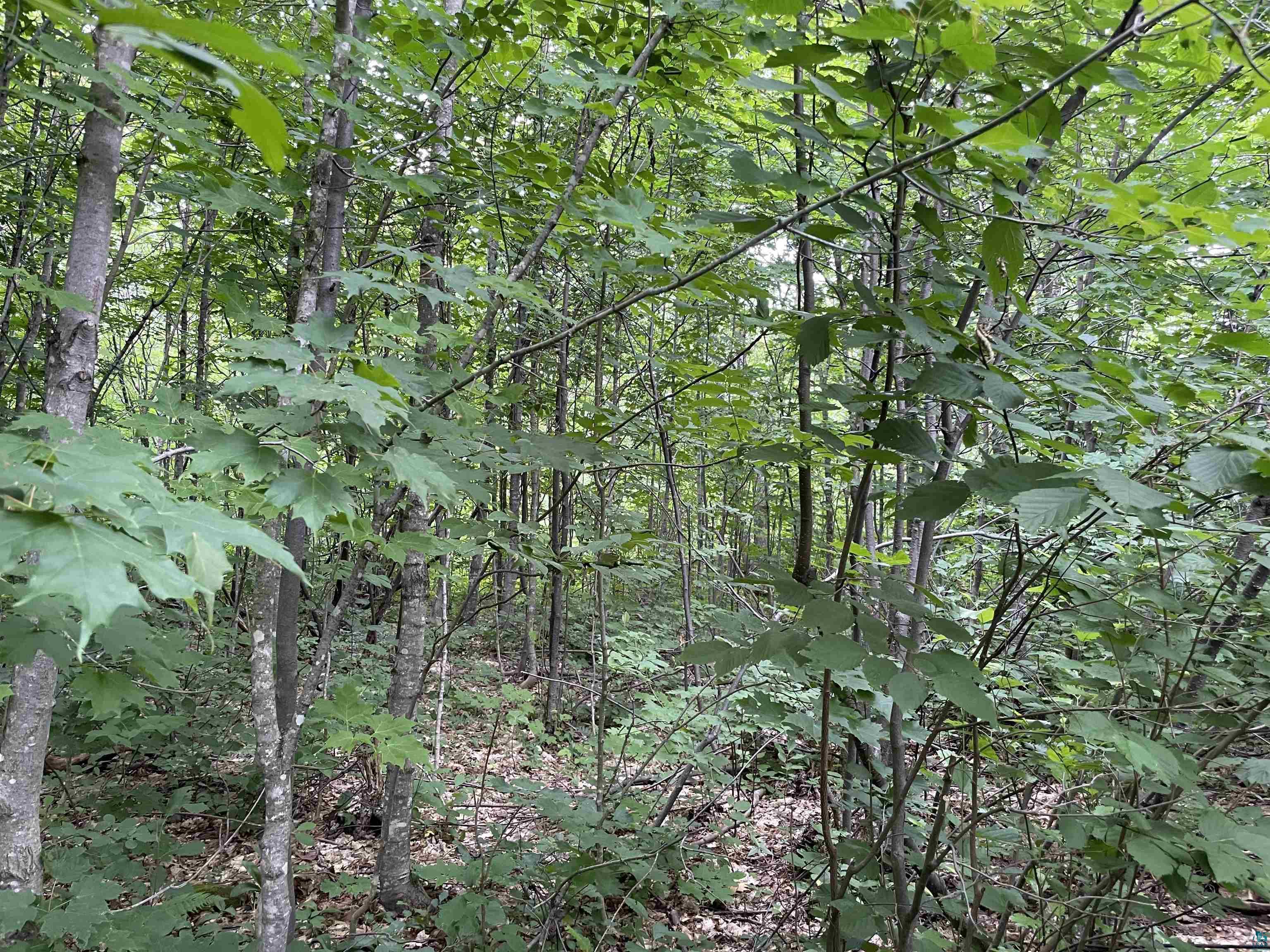 Lot 3-block Jonvick Ridge Lutsen, MN 55612 - Photo 1 of 11
