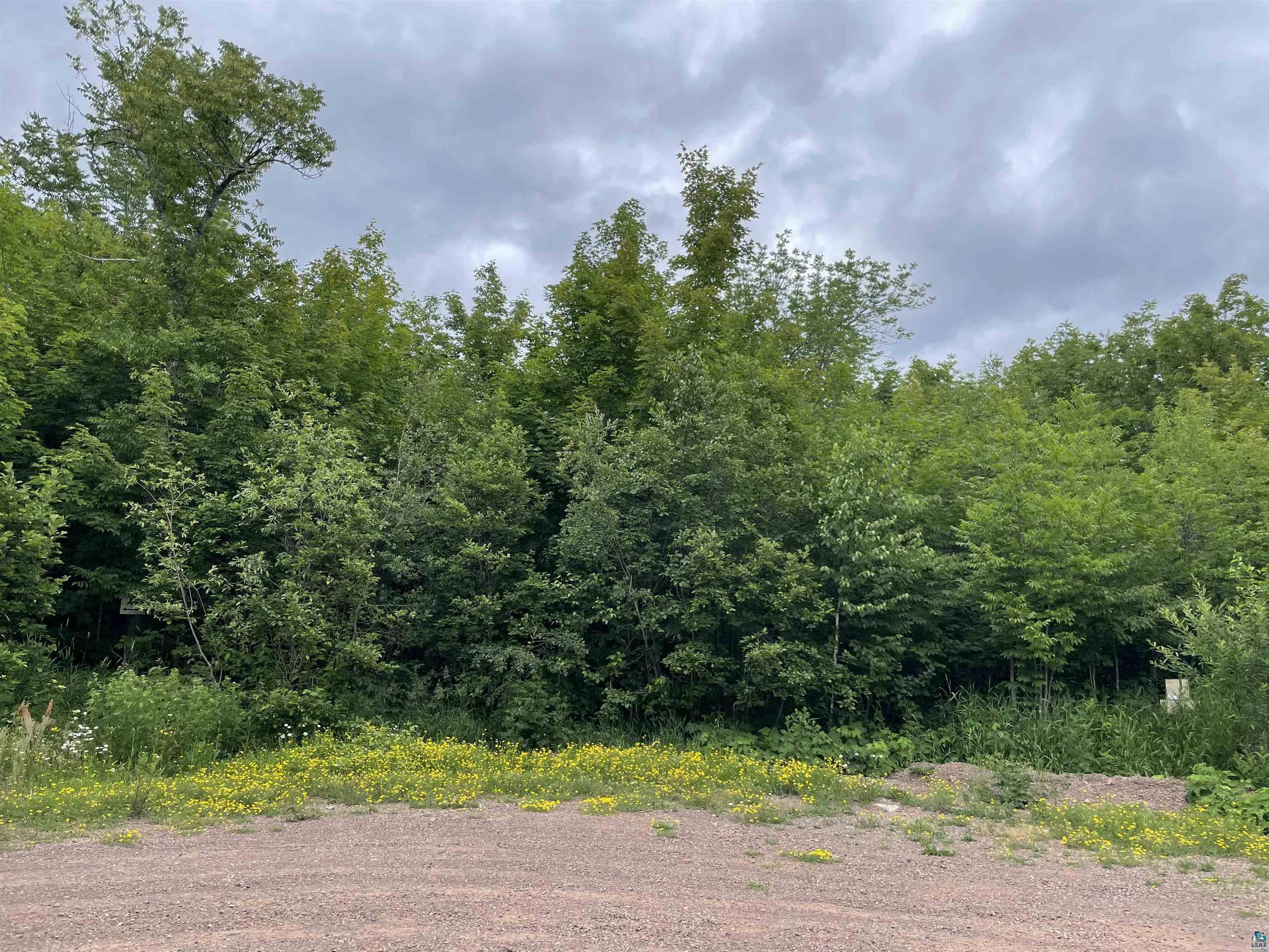 Lot 3-block Jonvick Ridge Lutsen, MN 55612 - Photo 11 of 11