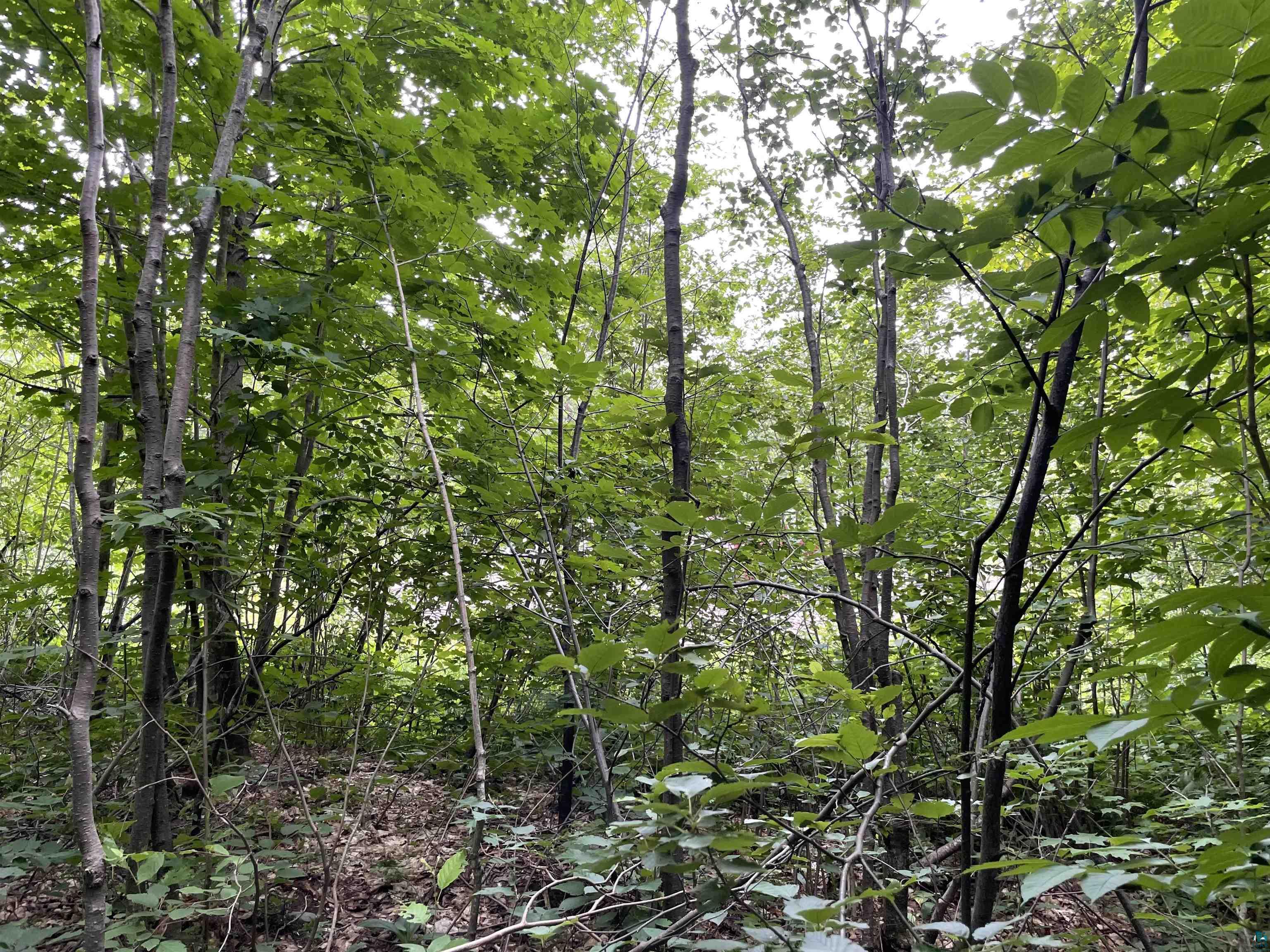 Lot 3-block Jonvick Ridge Lutsen, MN 55612 - Photo 3 of 11