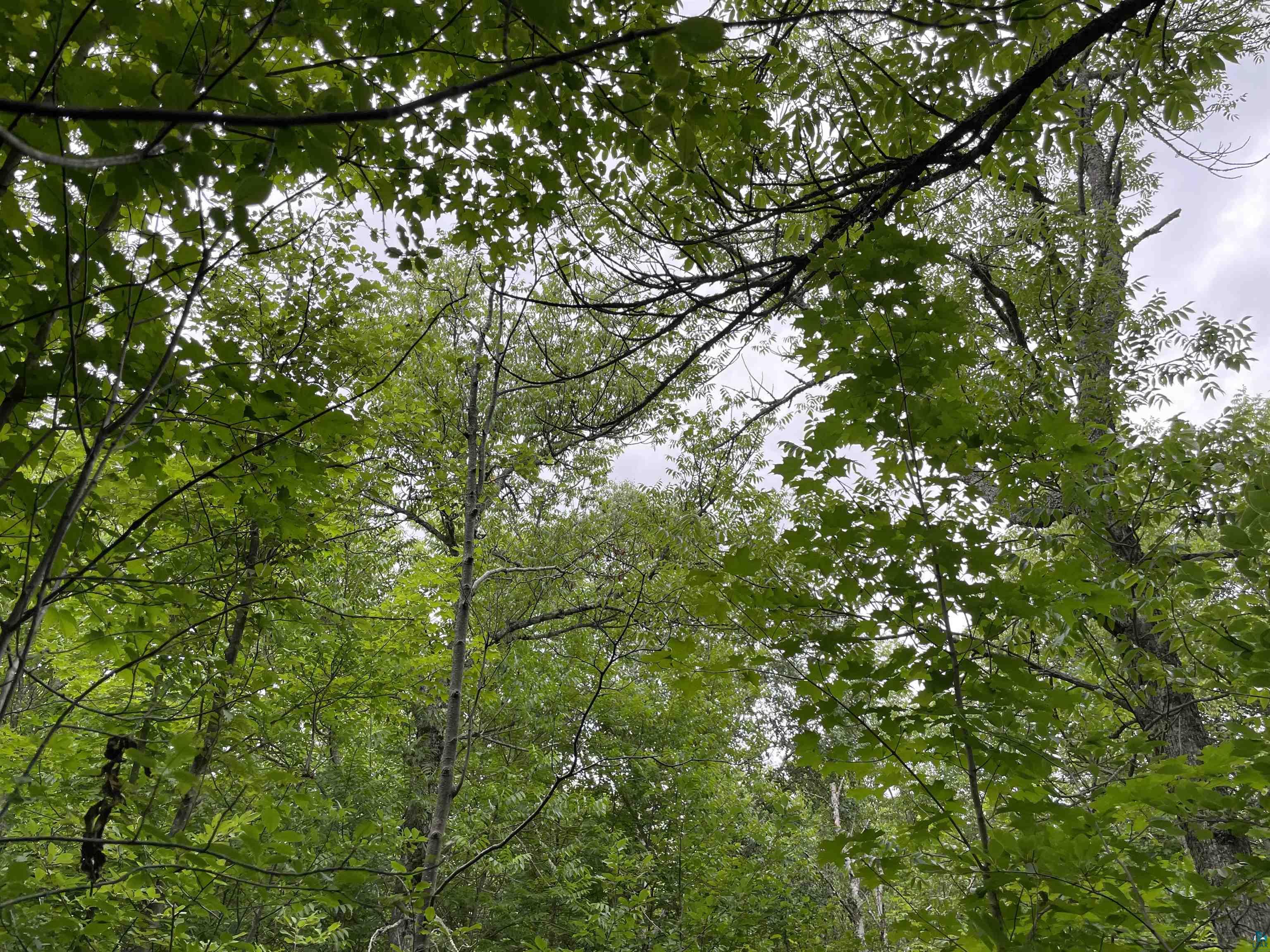 Lot 3-block Jonvick Ridge Lutsen, MN 55612 - Photo 5 of 11