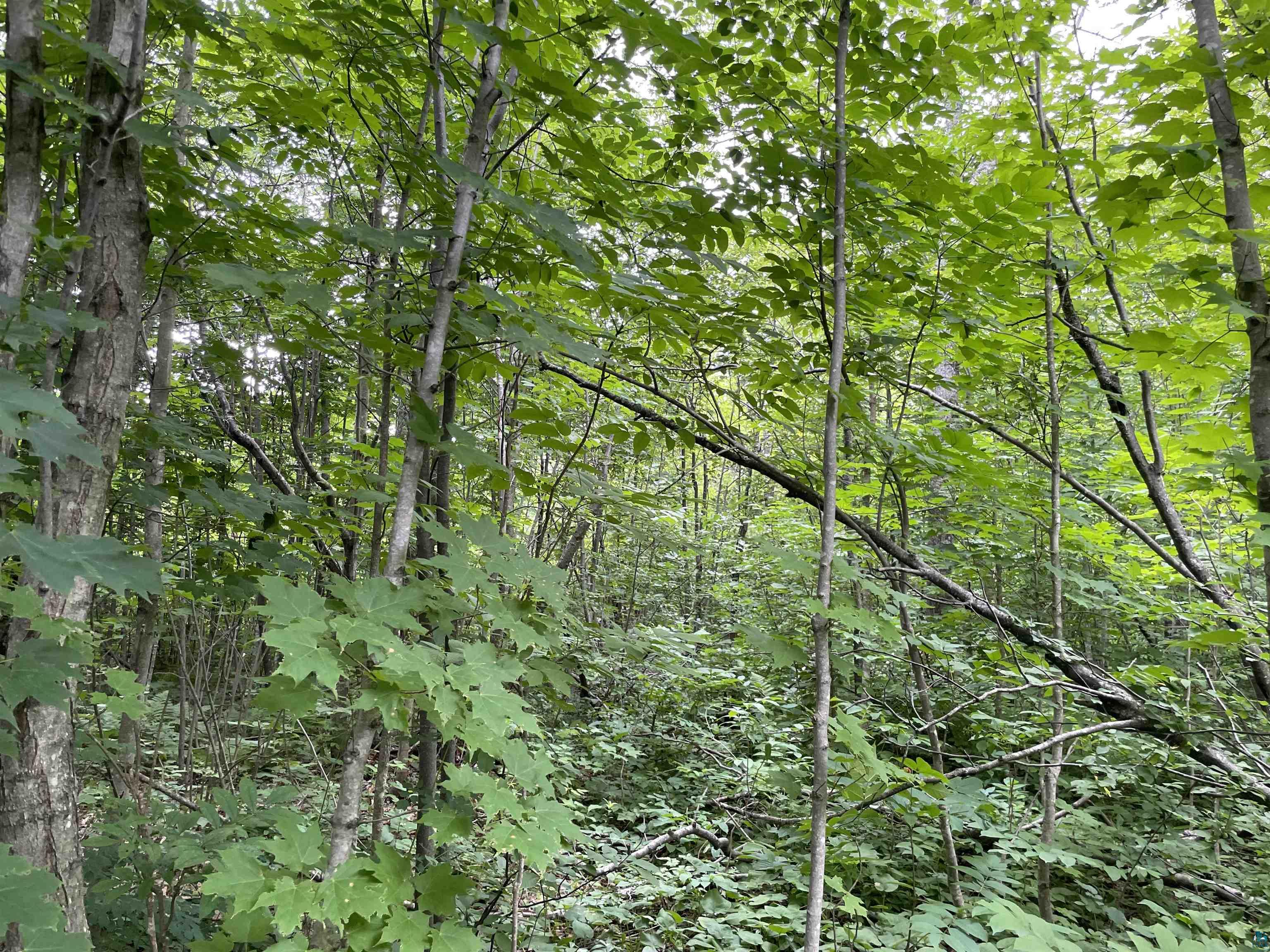Lot 3-block Jonvick Ridge Lutsen, MN 55612 - Photo 6 of 11