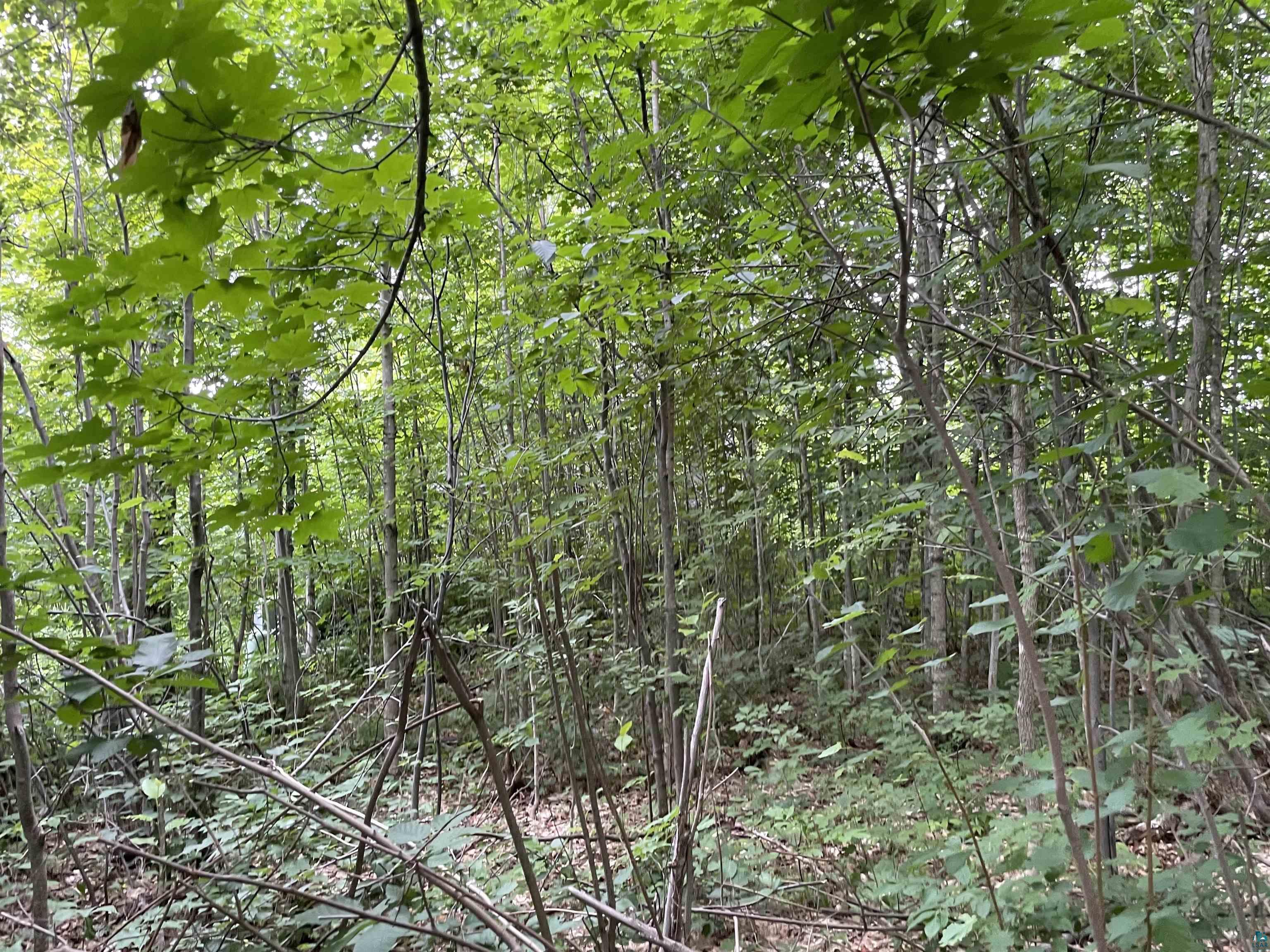 Lot 3-block Jonvick Ridge Lutsen, MN 55612 - Photo 8 of 11