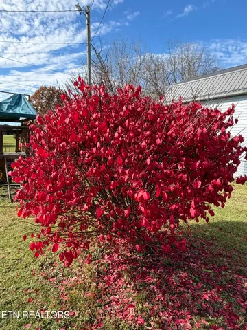 $274,500 | 246 Valley View Road, La Follette, TN 37766