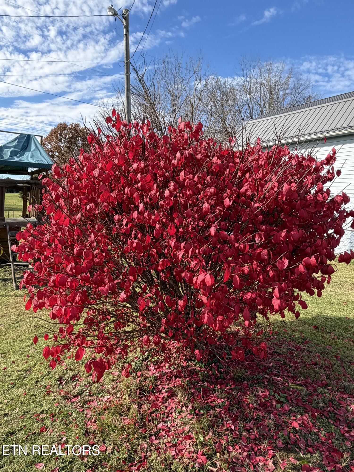 246 Valley View Road La Follette, TN 37766 - Photo 34 of 34 IMG_3904