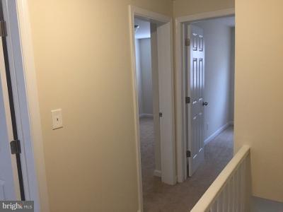 304 Arden Road West Baltimore, MD 21225 - Photo 5 of 30 a view of bathroom with shower