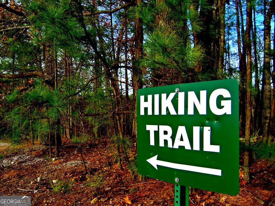 3297 Lakeview Parkway Villa Rica, GA 30180 - Photo 5 of 42