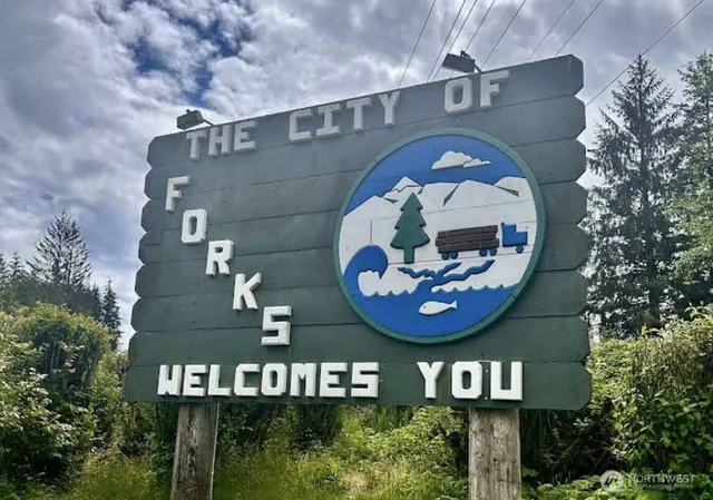 $124,997 | 0 Dowan Creek Road, Forks, WA 98331