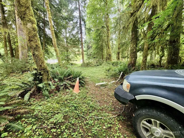 $124,997 | 0 Dowan Creek Road, Forks, WA 98331