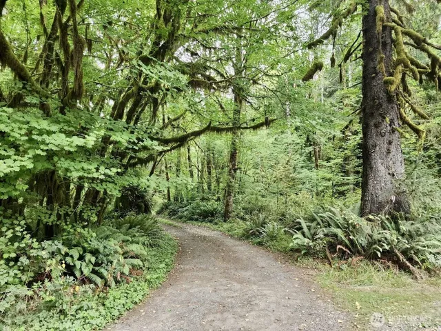 $124,997 | 0 Dowan Creek Road, Forks, WA 98331
