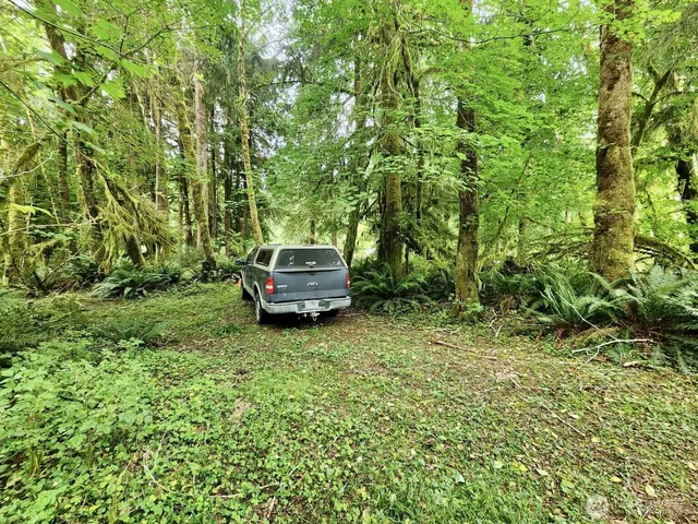 $124,997 | 0 Dowan Creek Road, Forks, WA 98331