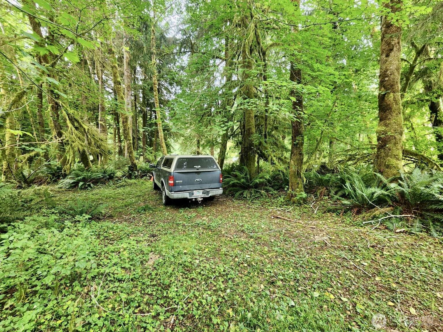 0 Dowan Creek Road Forks, WA 98331 - Photo 18 of 36
