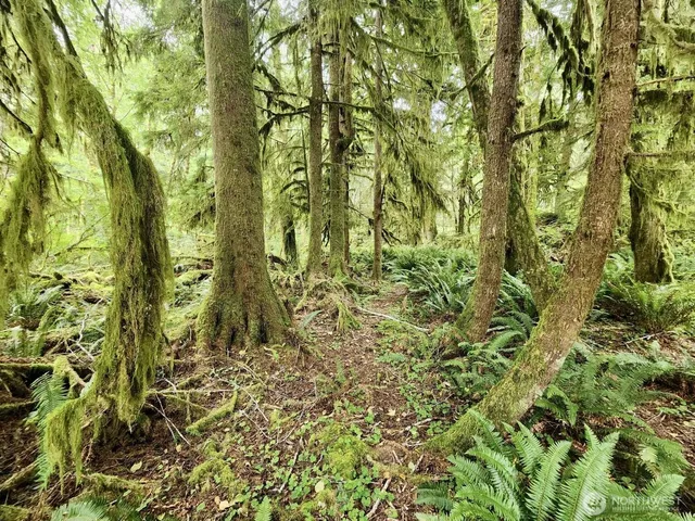 $124,997 | 0 Dowan Creek Road, Forks, WA 98331