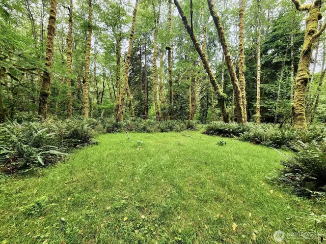 $124,997 | 0 Dowan Creek Road, Forks, WA 98331