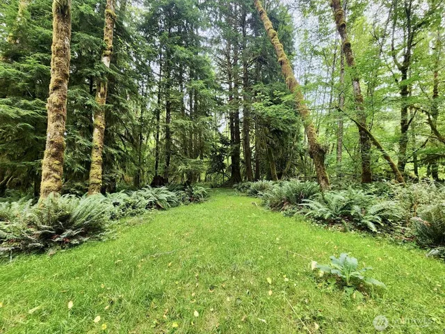 $124,997 | 0 Dowan Creek Road, Forks, WA 98331