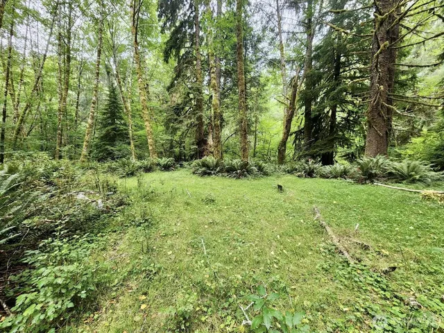 $124,997 | 0 Dowan Creek Road, Forks, WA 98331