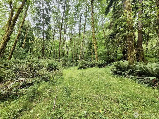 $124,997 | 0 Dowan Creek Road, Forks, WA 98331