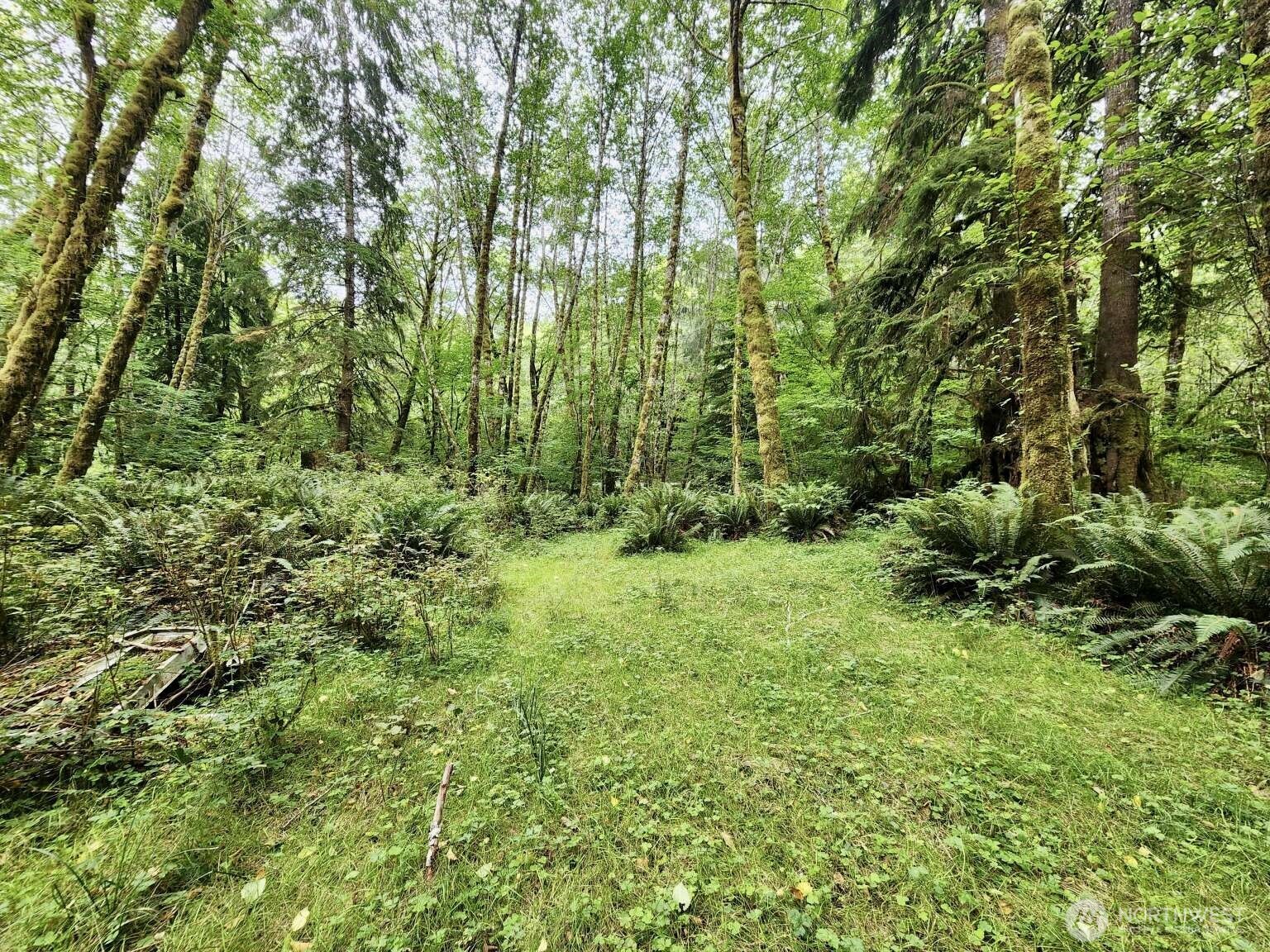 0 Dowan Creek Road Forks, WA 98331 - Photo 26 of 36