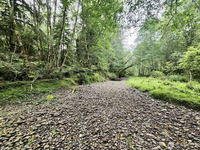 $124,997 | 0 Dowan Creek Road, Forks, WA 98331