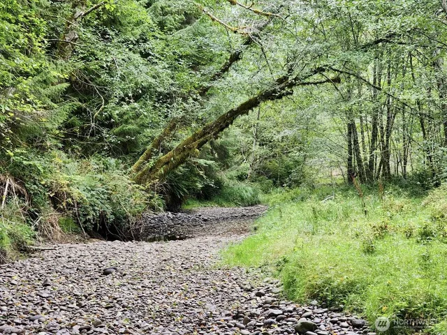 $124,997 | 0 Dowan Creek Road, Forks, WA 98331