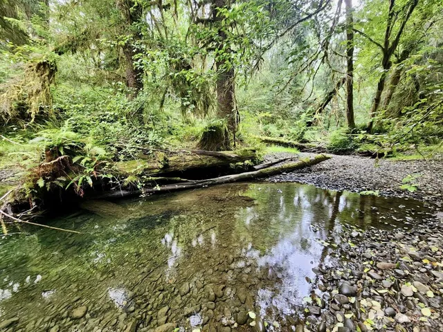 $124,997 | 0 Dowan Creek Road, Forks, WA 98331