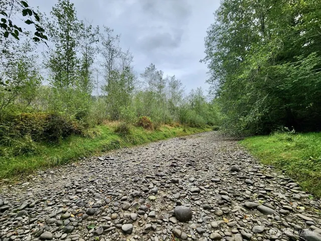 $124,997 | 0 Dowan Creek Road, Forks, WA 98331