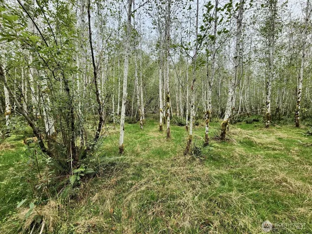 $124,997 | 0 Dowan Creek Road, Forks, WA 98331