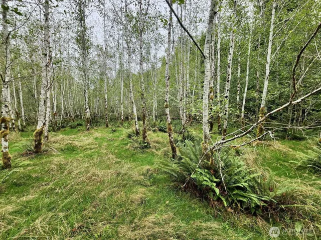 $124,997 | 0 Dowan Creek Road, Forks, WA 98331