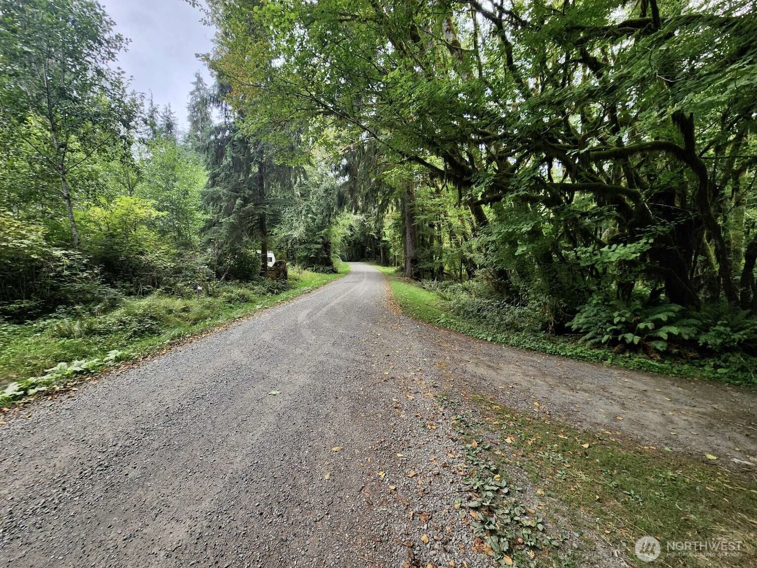 0 Dowan Creek Road Forks, WA 98331 - Photo 36 of 36