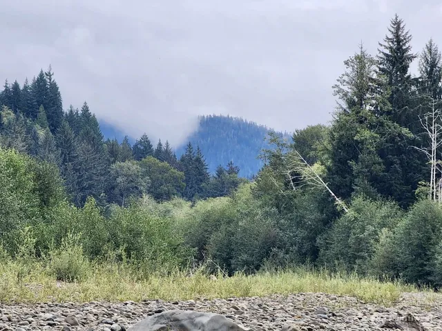 $124,997 | 0 Dowan Creek Road, Forks, WA 98331