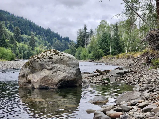 $124,997 | 0 Dowan Creek Road, Forks, WA 98331