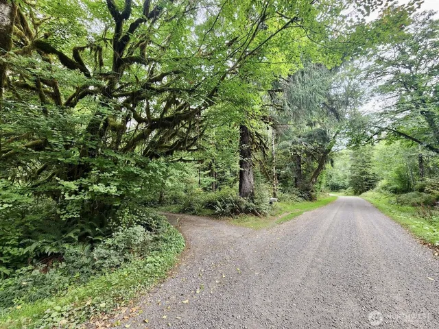 $124,997 | 0 Dowan Creek Road, Forks, WA 98331