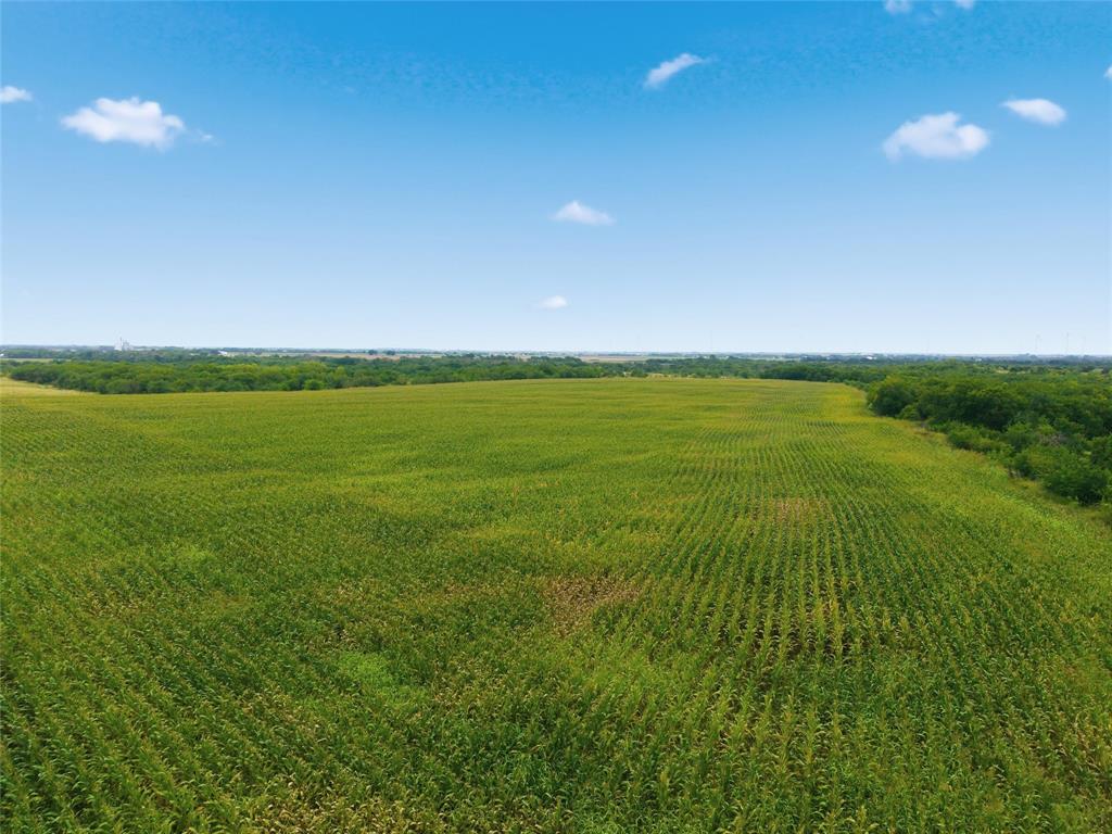 3165 Rd Abbott Tx 76621 Road Abbott, TX 76621 - Photo 3 of 11